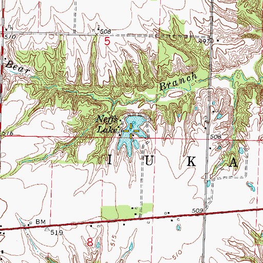 Topographic Map of Neffs Lake, IL