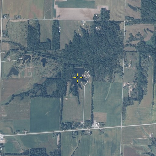 Aerial/Satellite Image of Neffs Lake, IL