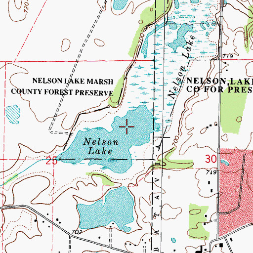 Topographic Map of Nelson Lake, IL