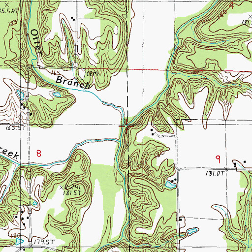Topographic Map of Otter Branch, IL