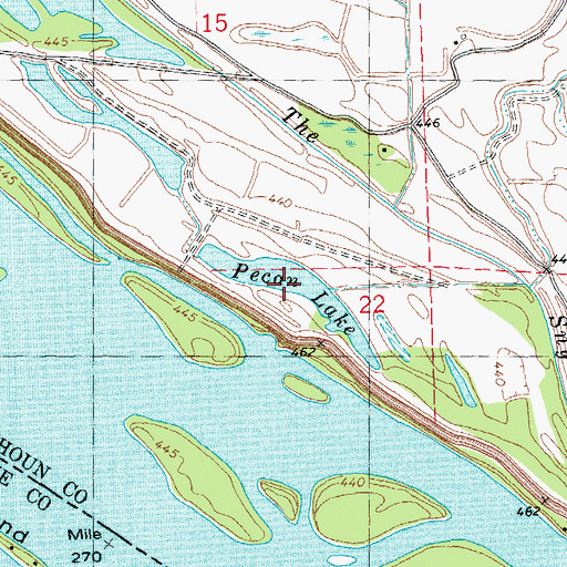 Topographic Map of Pecan Lake, IL