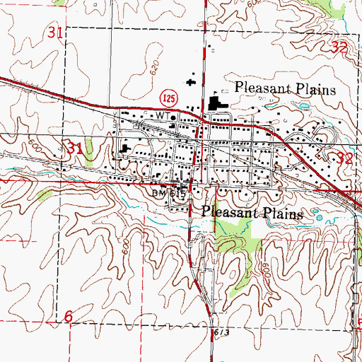 Topographic Map of Pleasant Plains, IL