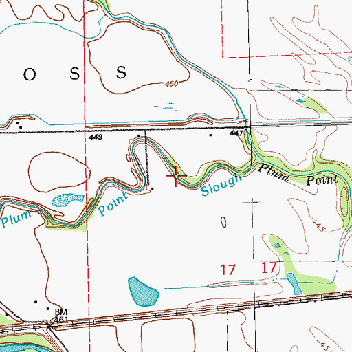 Topographic Map of Plum Point Slough, IL
