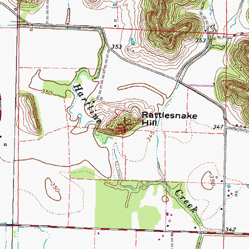 Topographic Map of Rattlesnake Hill, IL