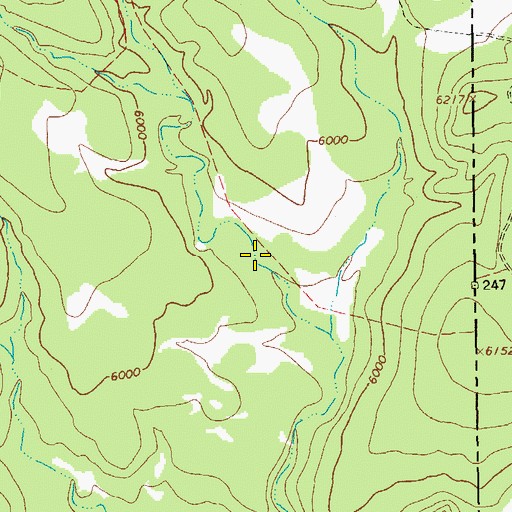 Topographic Map of Two-Timing Spring, AZ