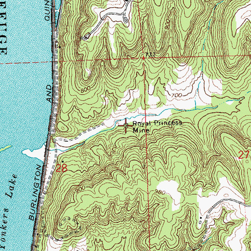 Topographic Map of Royal Princess Mine, IL