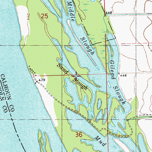 Topographic Map of Sand Slough, IL