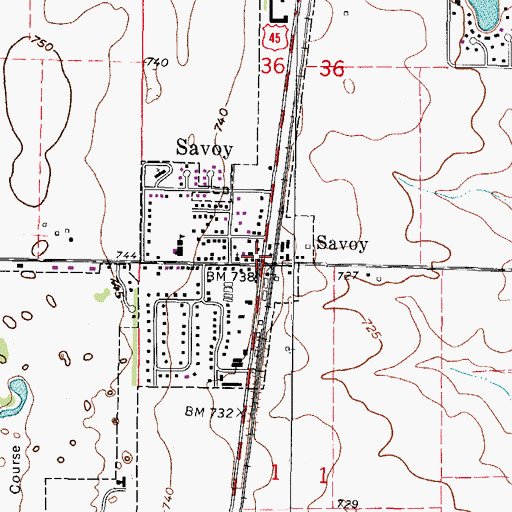 Topographic Map of Savoy, IL