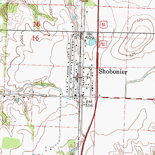 Topographic Map of Shobonier, IL