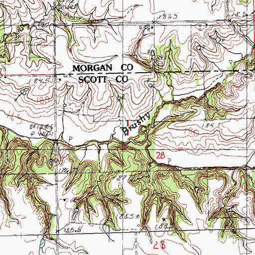 Topographic Map of Spoon Creek, IL