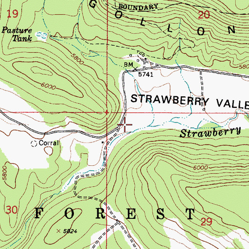 Topographic Map of Strawberry Valley, AZ