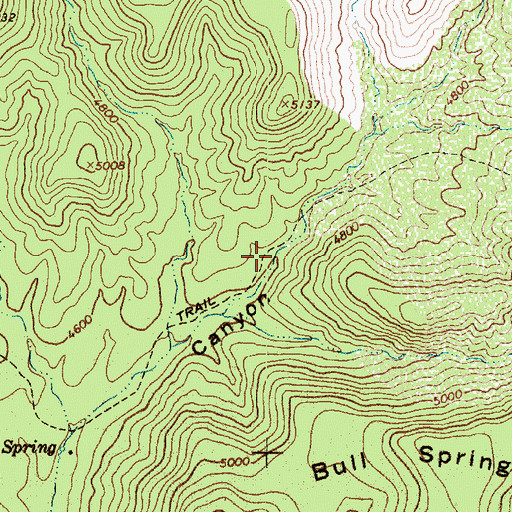 Topographic Map of Bull Spring, AZ