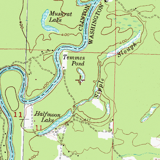 Topographic Map of Temmes Pond, IL
