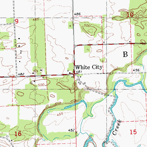 Topographic Map of White City, IL