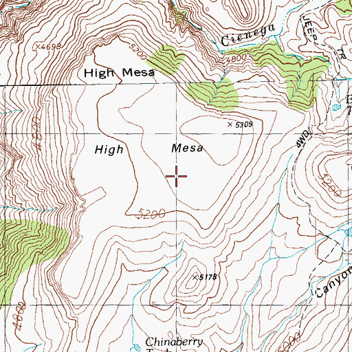 Topographic Map of Point Spring, AZ