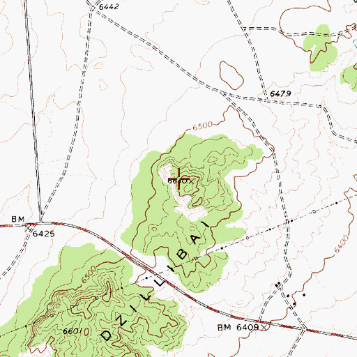 Topographic Map of Dzillibai, AZ