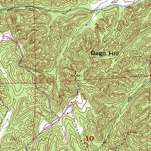 Topographic Map of Bass Hill Lookout Tower, IL