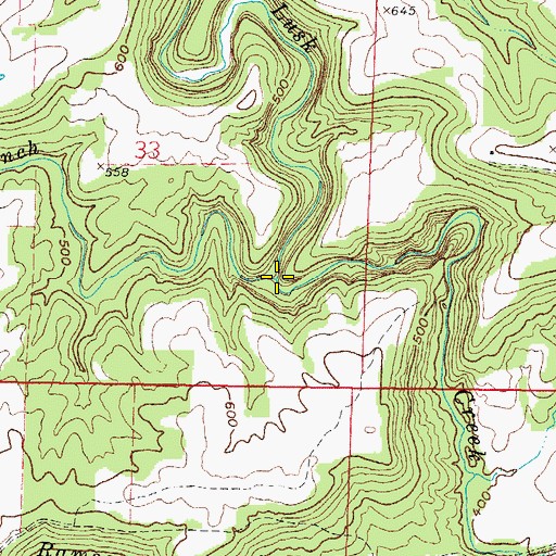 Topographic Map of Bear Branch, IL