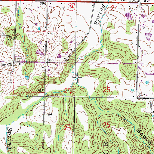 Topographic Map of Beech Hollow, IL