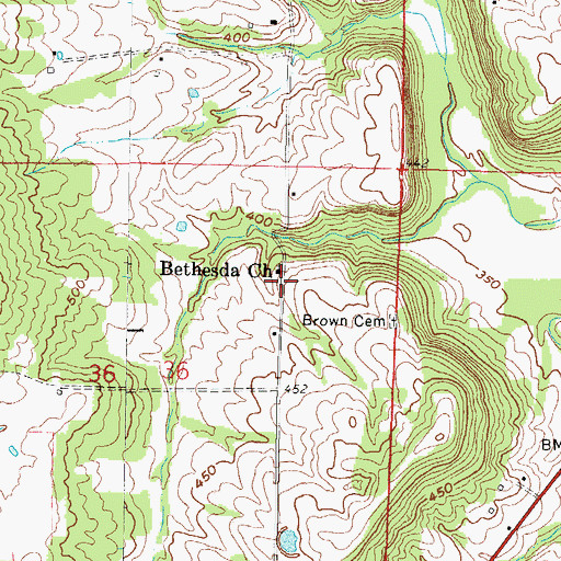 Topographic Map of Bethesda Church, IL