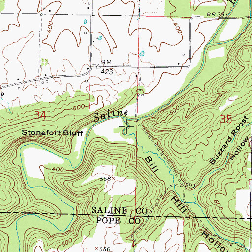 Topographic Map of Bill Hill Hollow, IL