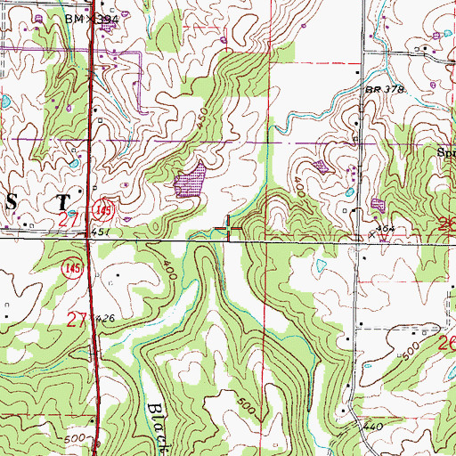 Topographic Map of Cochran Hollow, IL