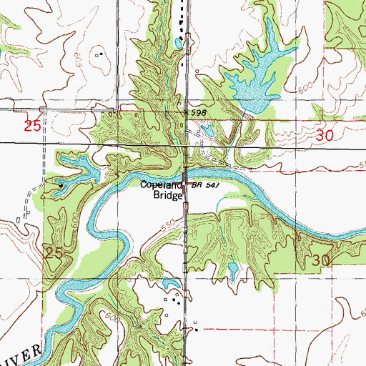 Topographic Map of Copeland Bridge, IL