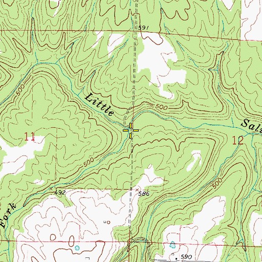 Topographic Map of Dry Fork, IL