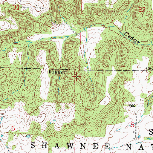 Topographic Map of Shawnee National Forest, IL