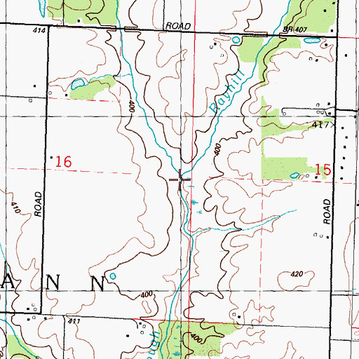 Topographic Map of Rayhill Slough, IL