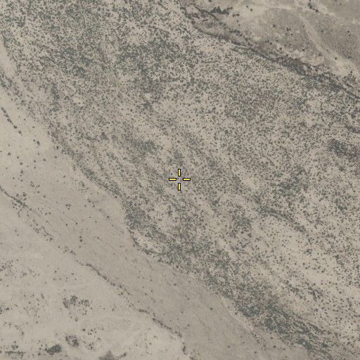 Aerial/Satellite Image of Morgans Ferry, AZ