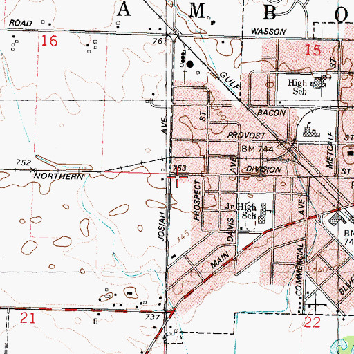 Topographic Map of Township of Amboy, IL