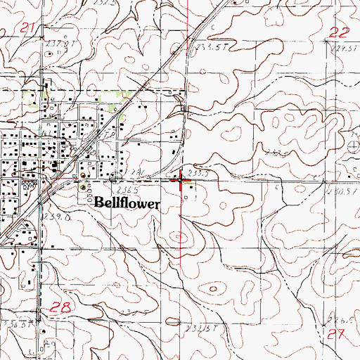 Topographic Map of Township of Bellflower, IL