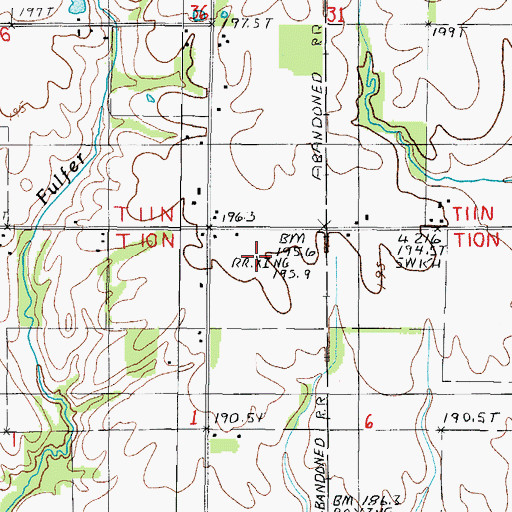 Topographic Map of Township of Cottonwood, IL