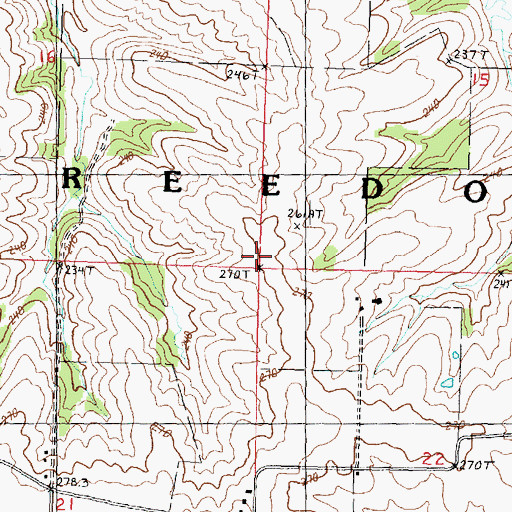 Topographic Map of Township of Freedom, IL