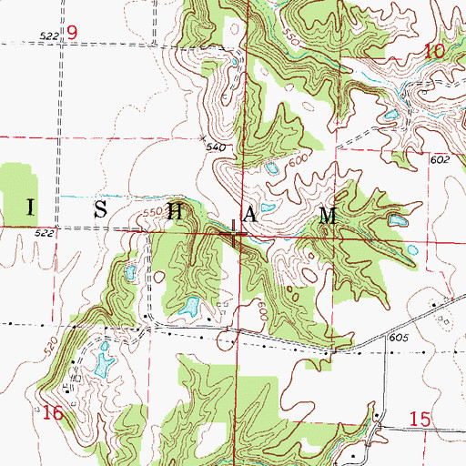 Topographic Map of Township of Grisham, IL