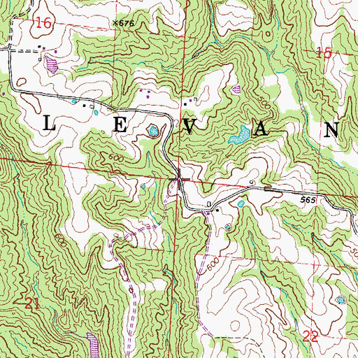 Topographic Map of Township of Levan, IL