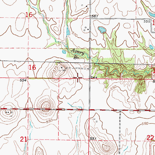 Topographic Map of Township of Pleasant Mound, IL