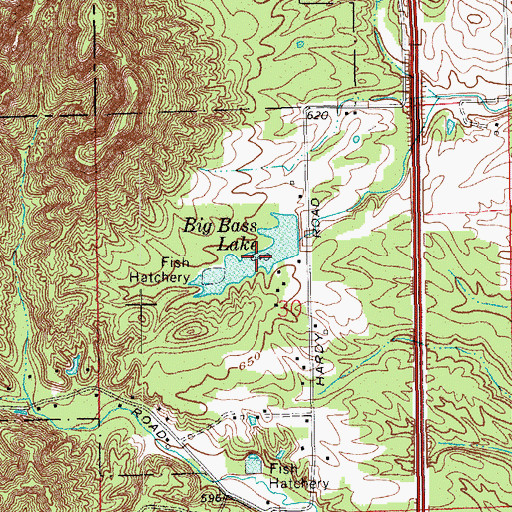Topographic Map of Big Bass Lake, IN