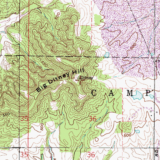 Topographic Map of Big Ditney Hill, IN