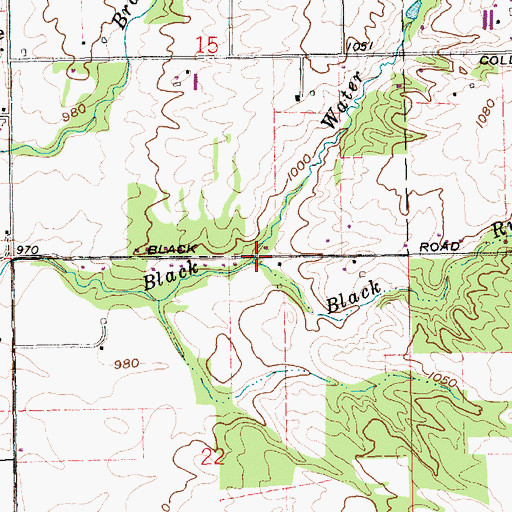 Topographic Map of Black Run, IN