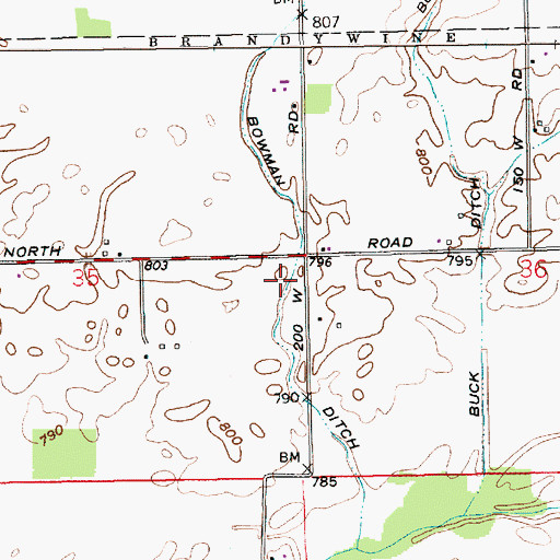 Topographic Map of Bowman Ditch, IN