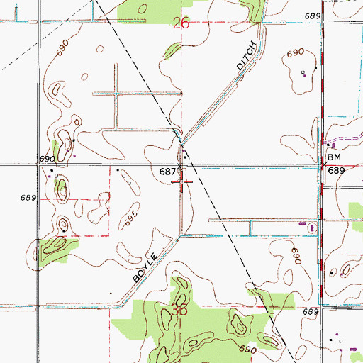 Topographic Map of Boyle Ditch, IN