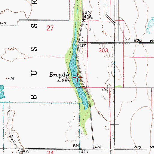 Topographic Map of Broadie Lake, IN