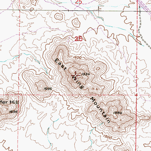 Topographic Map of East Wing Mountain, AZ