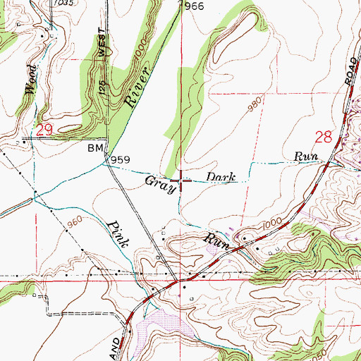 Topographic Map of Dark Run, IN