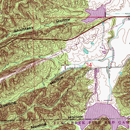 Topographic Map of Dowling Hollow, IN