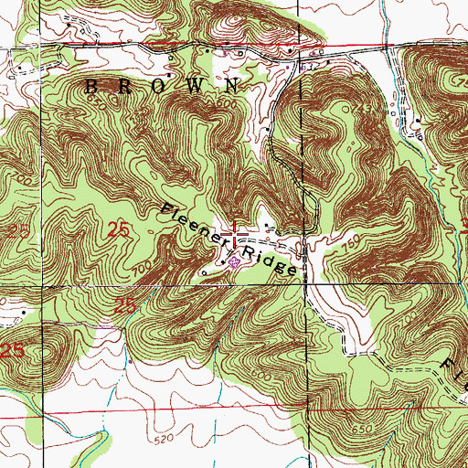 Topographic Map of Fleene Ridge, IN