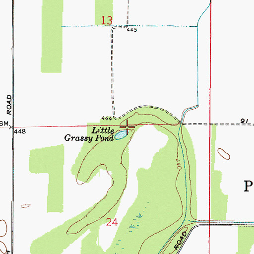Topographic Map of Little Grassy Pond, IN