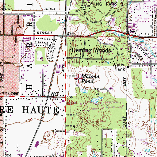 Topographic Map of Malone Pond, IN